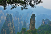 �żҽ�ɽ�����