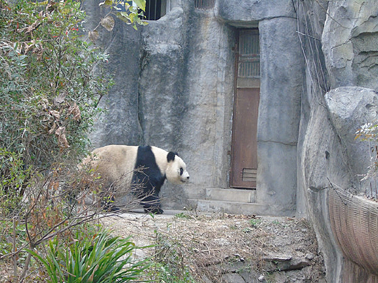 ��ϡ����