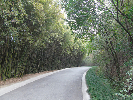 ����С��