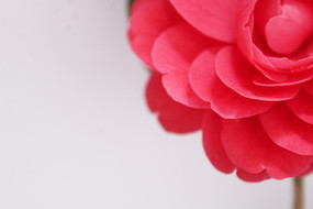 �軨�����д