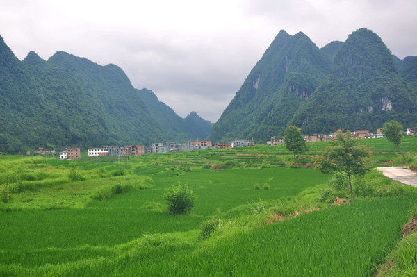 ����԰���