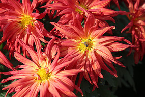 �ջ�չ-��ջ�