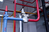 ��ɫ�ܵ�ϸ��