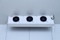 ����ʵ��