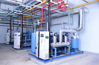 �䶳����û���