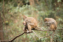 ��Ϸ�ĺ���