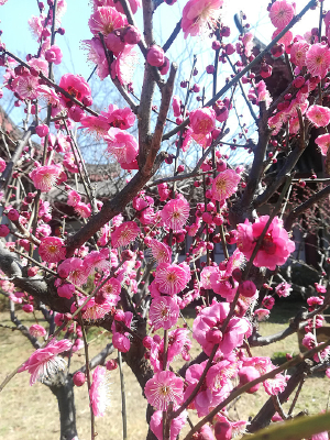 ʢ�����һ�