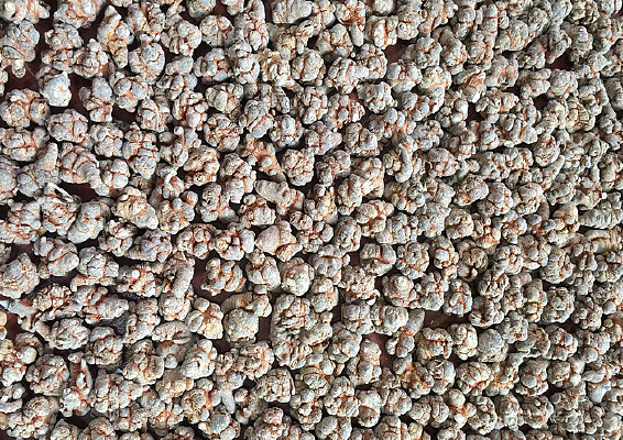 ������������ͼƬ