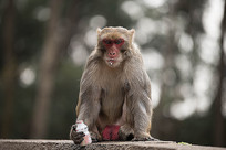 �����ں�ˮ