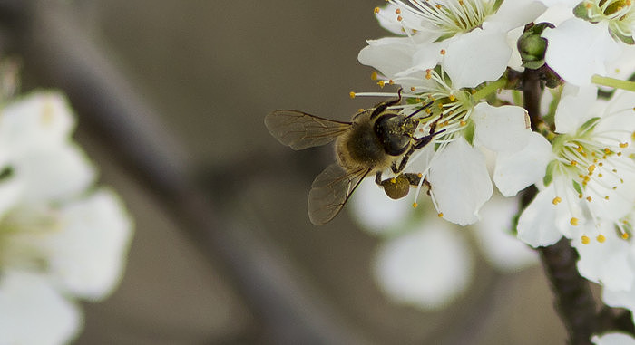 �����ӻ����۷�