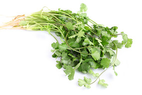 �ױ����ϵ�ܾݴ