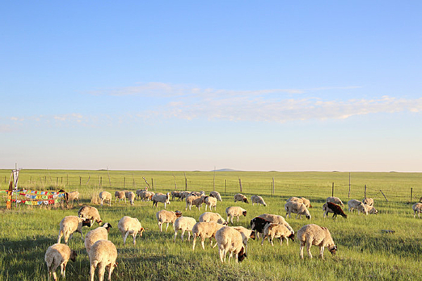 ��ԭ����Ⱥ����