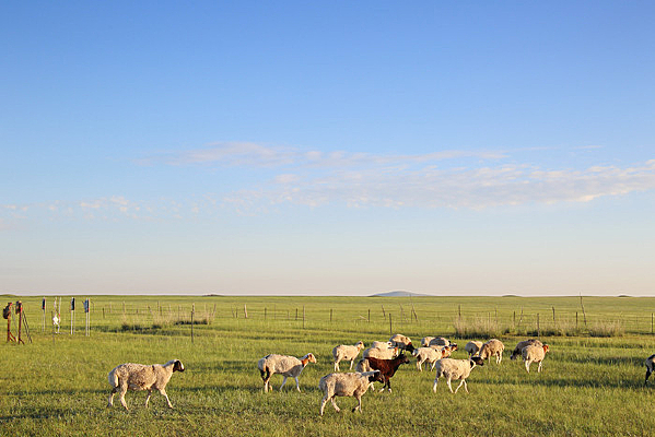 ��ԭ�����Ⱥ