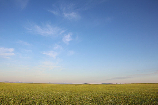 ���̵Ĳ�ԭ�ޱ��޼�