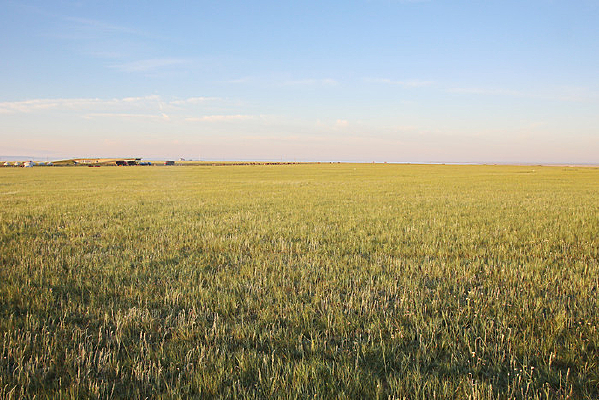 ��������ԭ