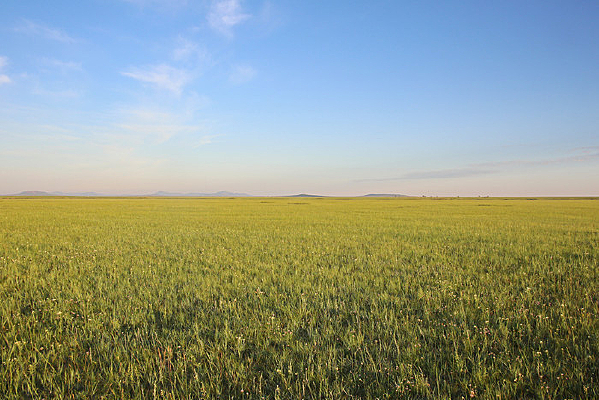 ��ɫ�Ĳ�ԭ�ޱ��޼�