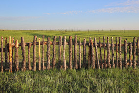 ľդ����ԭ���