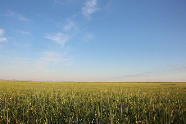 ���ɹŲ�ԭ���ޱ��޼�