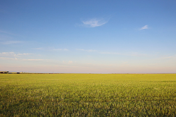 �ޱ��޼ʵ����ɹŲ�ԭ����