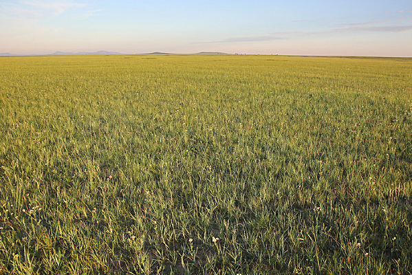 Զ���ޱ��޼ʵ����ɲ�ԭ