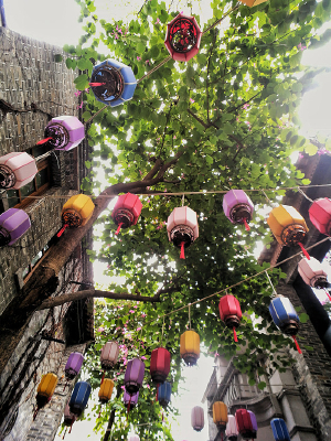 ��ʽ����