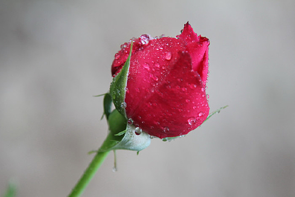 ��¶ˮ���¼�������