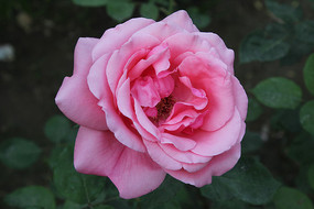 ����ɫ���¼�