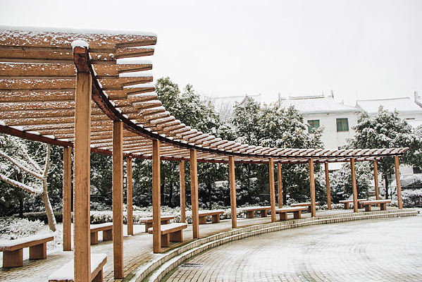 ѩ�ع㳡����