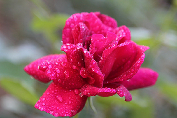 ���ŵ�¶ˮ�¼���