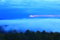 �峿�ֺ����� 