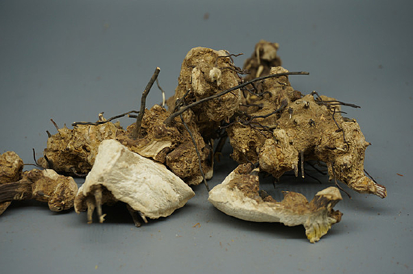 ���������ޱȼӸ�