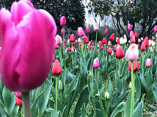 ���ĺ���