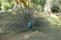 ��ȸ����