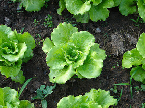 �����е�����