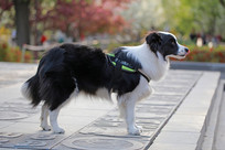 �߾�����Ȯ