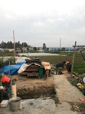 ���ݲ�ũ������Ӱͼ