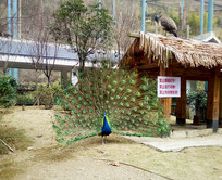 ��ȸ����