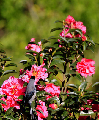 �����еĺ�ͷ����