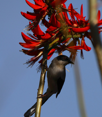 �����ĺ�ͷ����