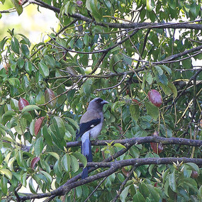 �����ĺڶ���ȵ