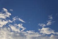 տ�������