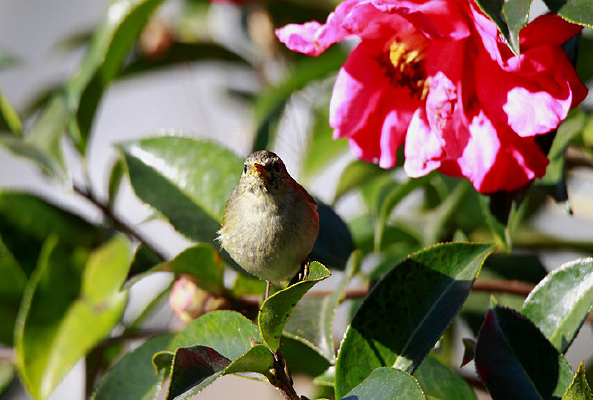 �質����ݺ 