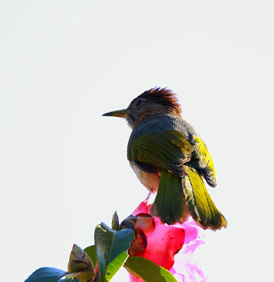 ��ë�������̳�̽���