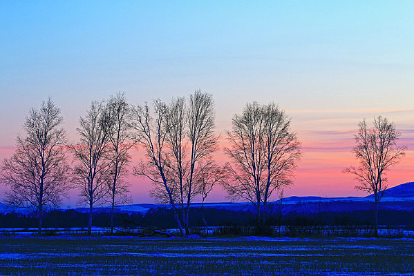 ѩԭ����ĺɫ����