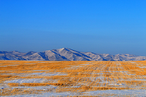 �����ũ�� 