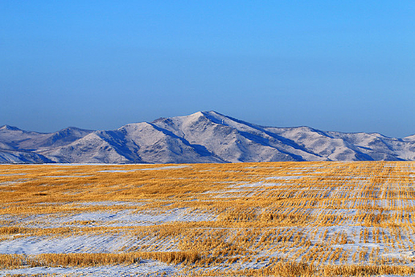 ���ױ���������Ұ 