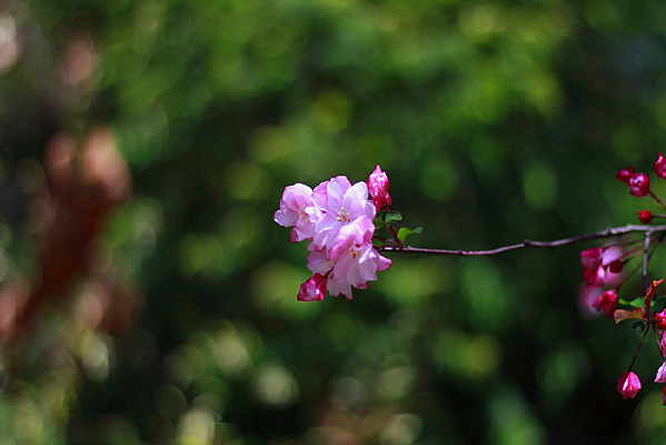 ���޳´�Ĵ�˿����