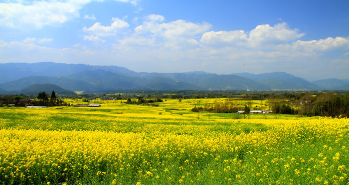 ��ͷ�Ͳ˻�֮ãã����