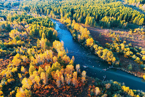 �ֺ�������ɫ