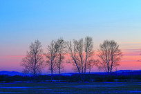 ĺɫ�е�ѩԭ֮��